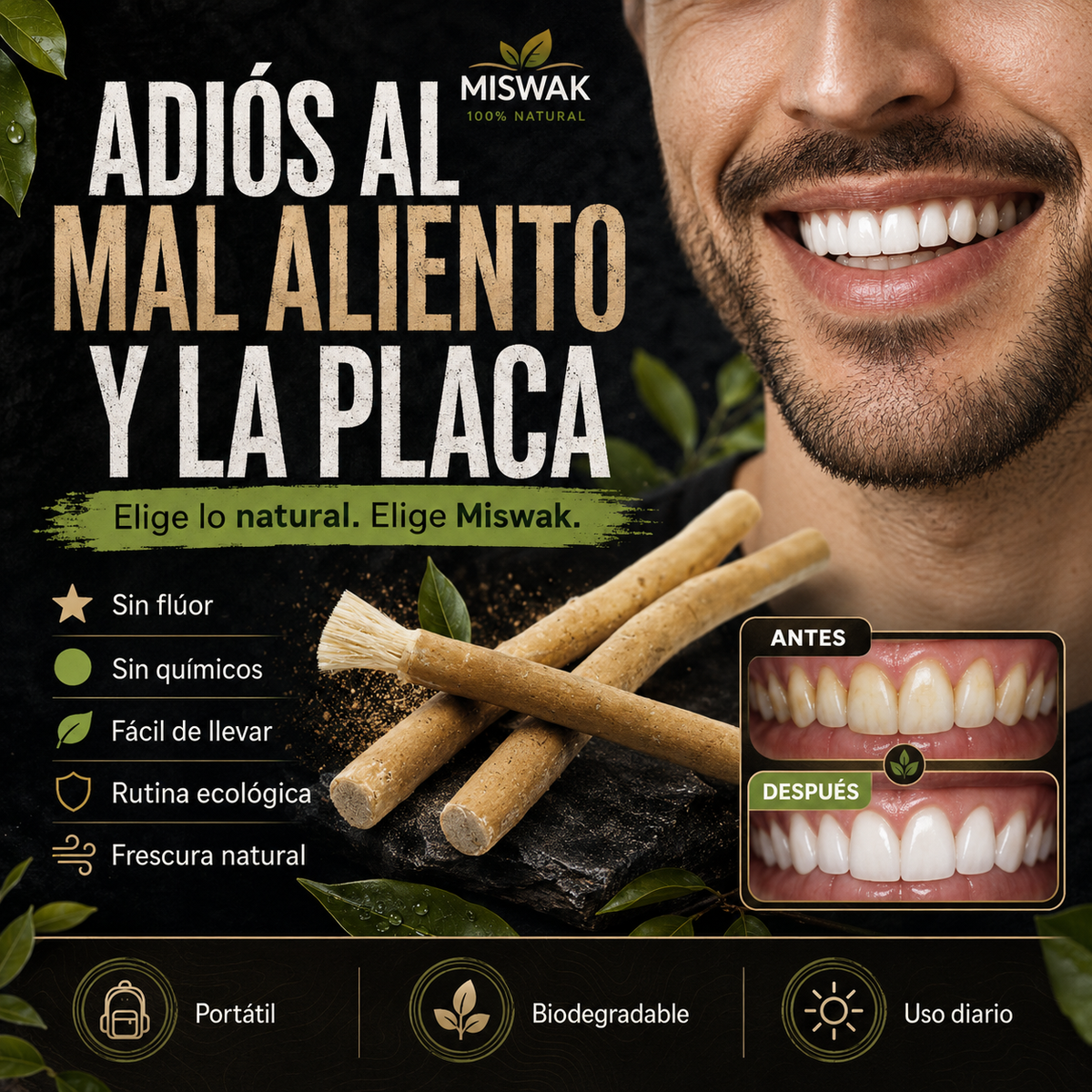 Miswak El cepillo de dientes original de la naturaleza