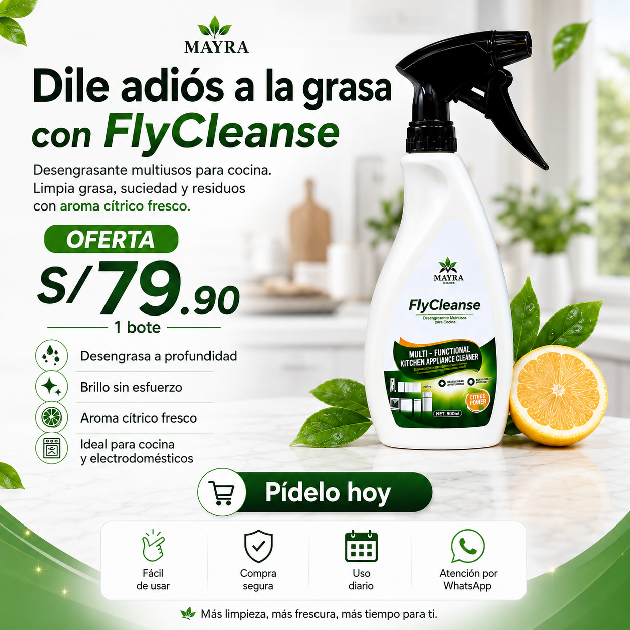 MAYRA FlyCleanse-Desengrasante de Cocina Multifuncional 500ml