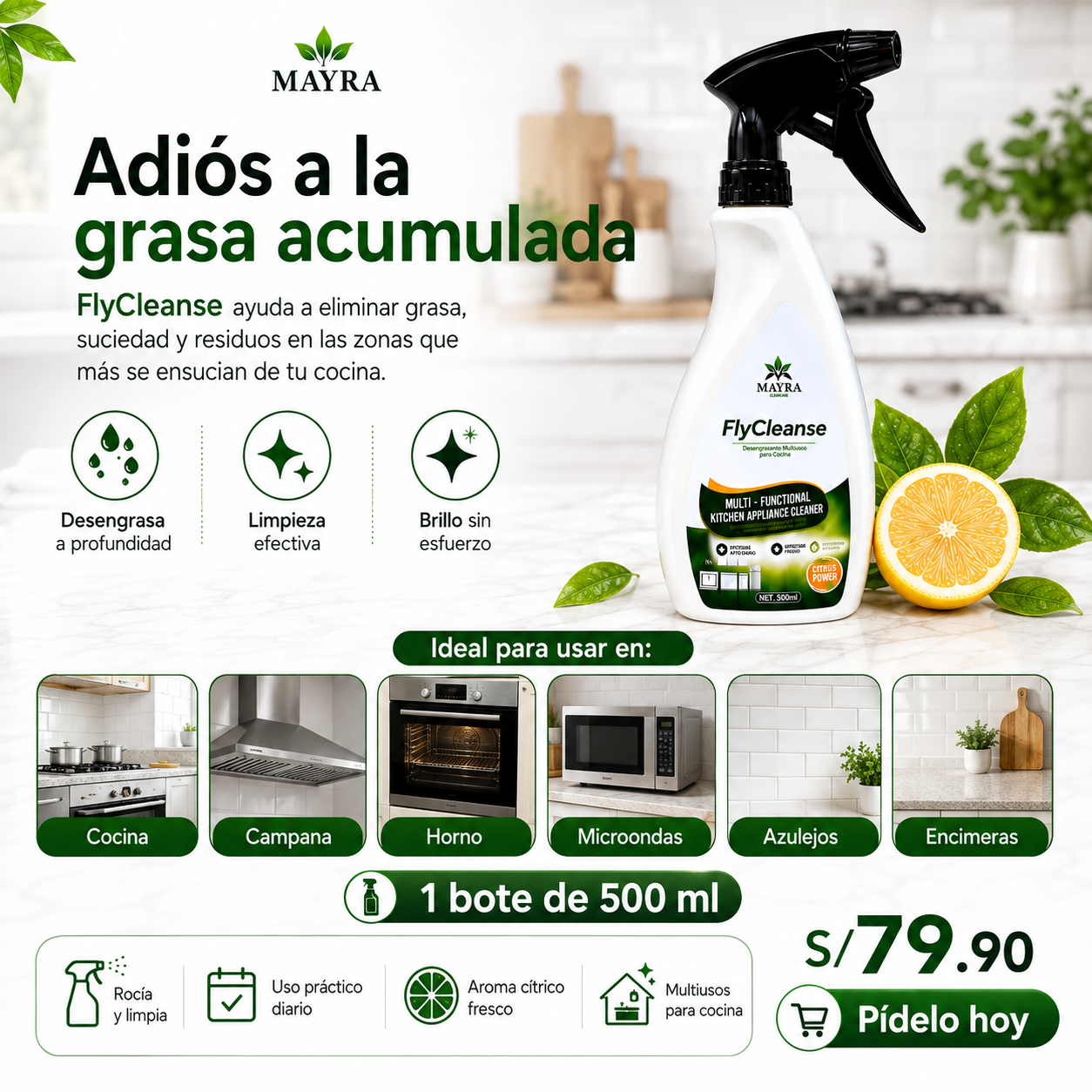 MAYRA FlyCleanse-Desengrasante de Cocina Multifuncional 500ml