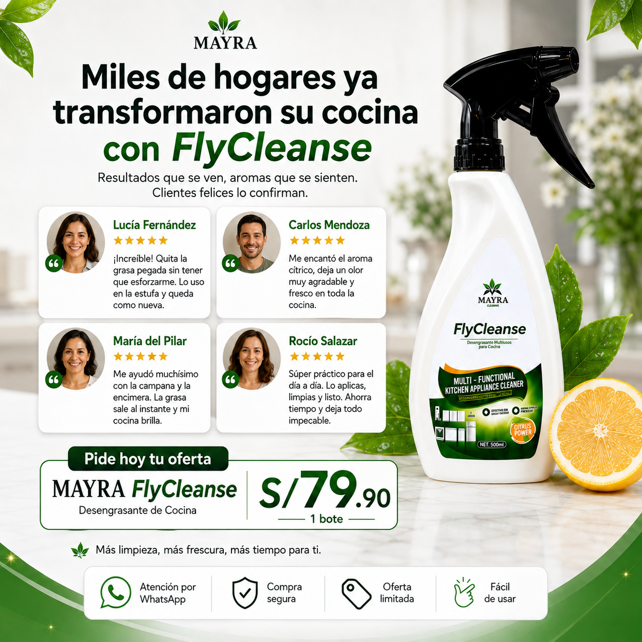 MAYRA FlyCleanse-Desengrasante de Cocina Multifuncional 500ml