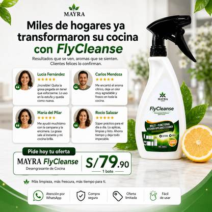 MAYRA FlyCleanse-Desengrasante de Cocina Multifuncional 500ml