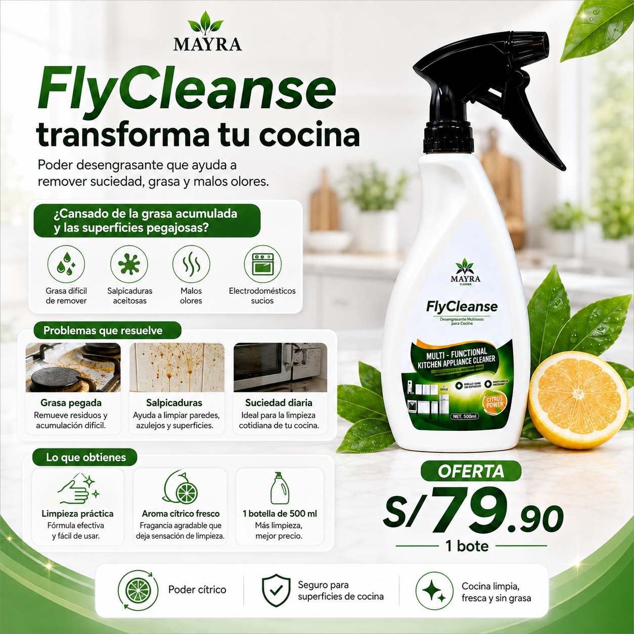 MAYRA FlyCleanse-Desengrasante de Cocina Multifuncional 500ml