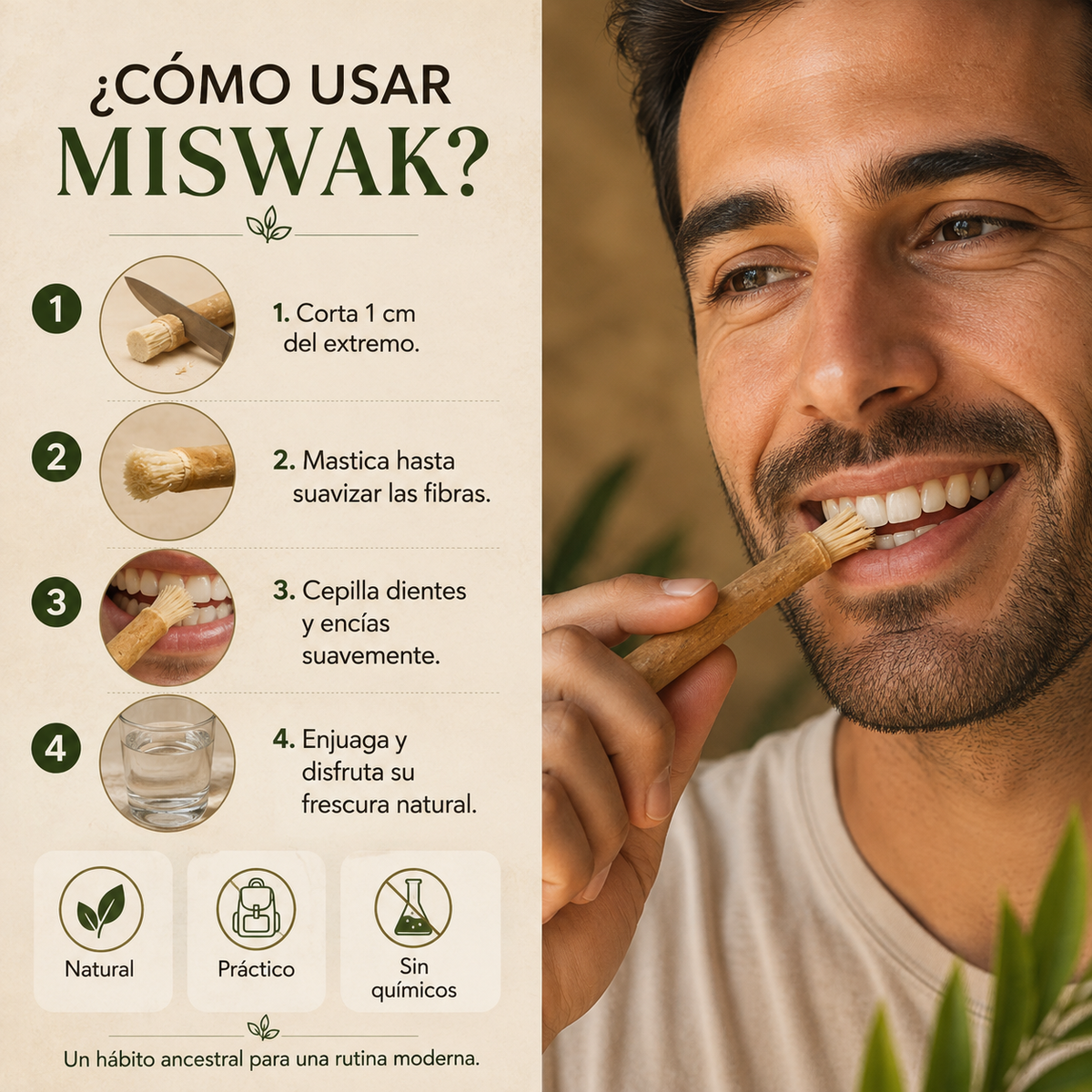 Miswak El cepillo de dientes original de la naturaleza