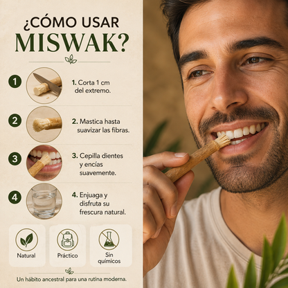 Miswak El cepillo de dientes original de la naturaleza