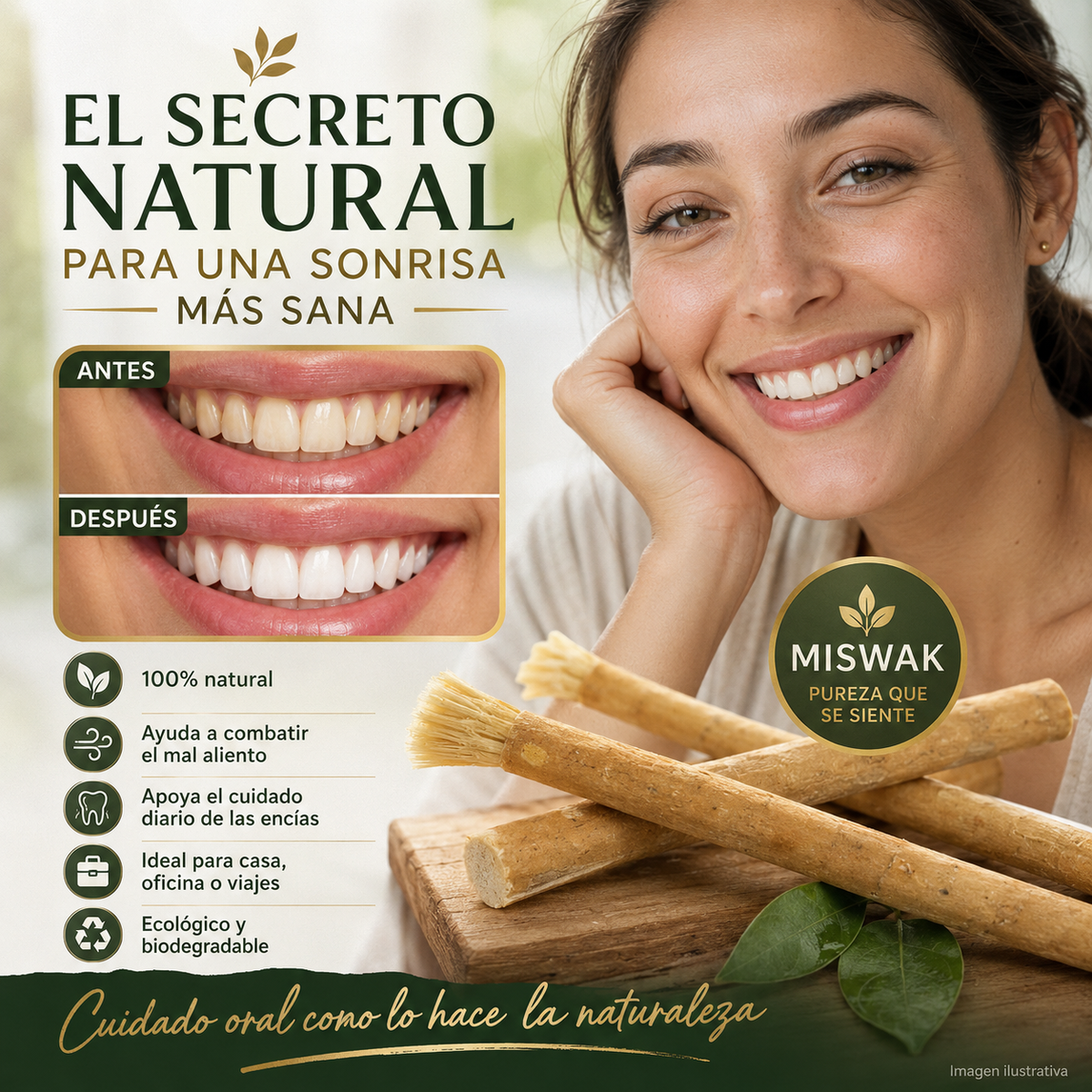 Miswak El cepillo de dientes original de la naturaleza