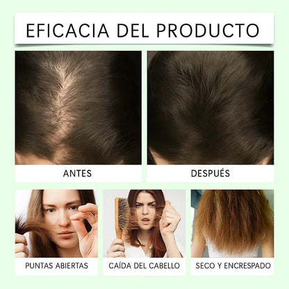 2X1 CHAMPÚ ACEITE DE BATANA CON EXTRACTO DE ROMERO 400 ML