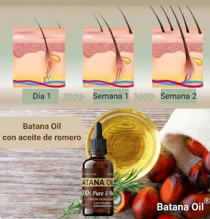 ACEITE DE BATANA PARA EL CRECIMIENTO DEL CABELLO. (2 U)