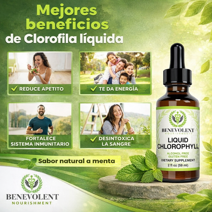 2x1 CLOROFILA LIQUIDA EN GOTAS PARA DETOX COMPLETO