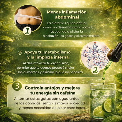 2x1 CLOROFILA LIQUIDA EN GOTAS PARA DETOX COMPLETO